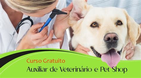 Curso Gratuito Auxiliar De Veterinário E Pet Shop Básico Cursos E