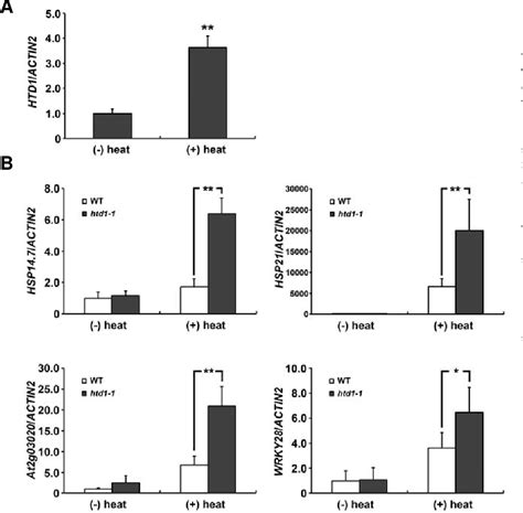 Figure 3 From Characterization Of A Novel DWD Protein That Participates