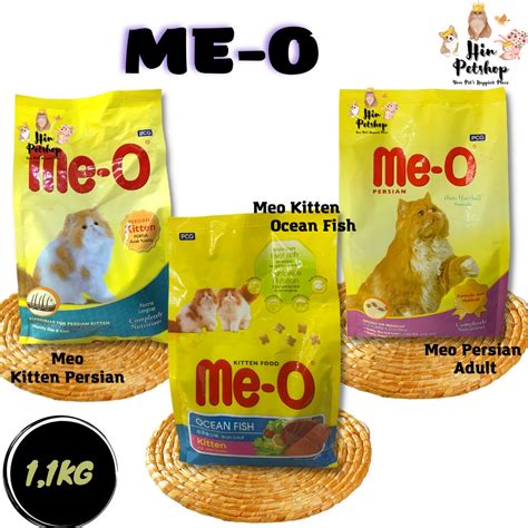 jual meo persian adult meo kitten ocean fish meo persian kitten