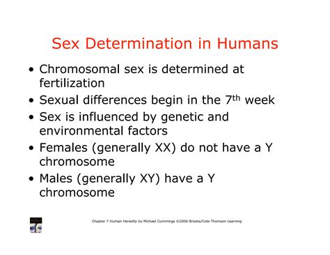 SOLUTION Sex Determination In Humans Studypool