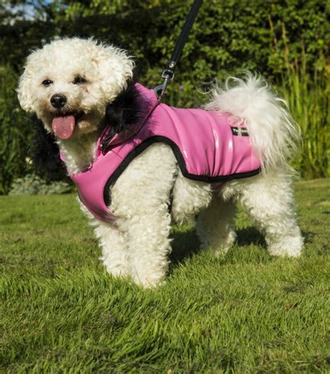 Pink Hoodie Waterproof Dog Coat With Built In Harness Brighton Range