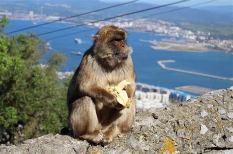 Malaga Co Warto Zobaczy W Okolicy Podr Na Etacie