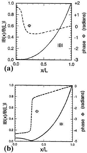 Axial Profile Of The Amplitude And Phase Of The Rf Magnetic Field In A Download Scientific