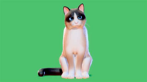 Low Poly Stylized Cats Snowshoe Cat Buy Royalty Free 3d Model By Assemblr