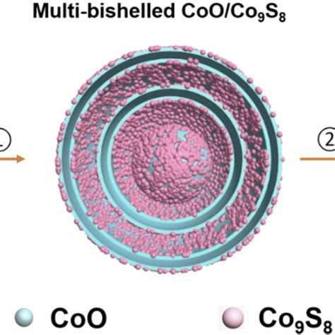 Schematic Illustration Of The Synthetic Process For Generating The