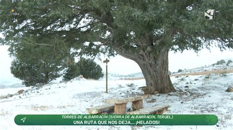 Ruta a las sabinas monumentales Canal ASG Aragón Sostenible CARTV