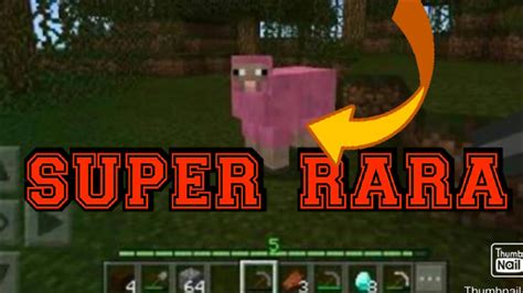 Minecraft 12 Encontrei A Ovelha 🐑 Rosa Super Rara Youtube