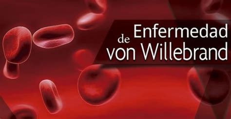 Enfermedad De Von Willebrand M Dicos En Campeche