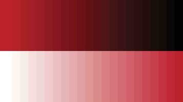 Bright Red Shades Color Palette Html Colors Atelier Yuwa Ciao Jp