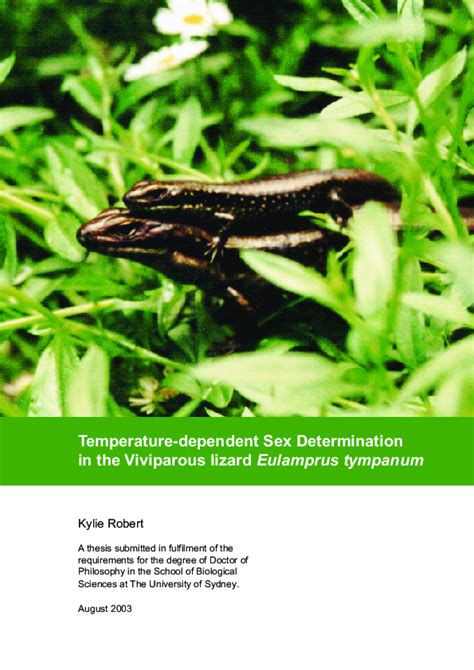 Pdf Temperature Dependent Sex Determination In The Viviparous Lizard