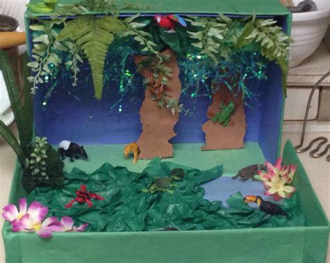 Rainforest Diorama Kids Rainforest Project Projects For Kids