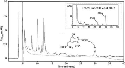 High Performance Liquid Chromatography Hplc Elution Profile Of The