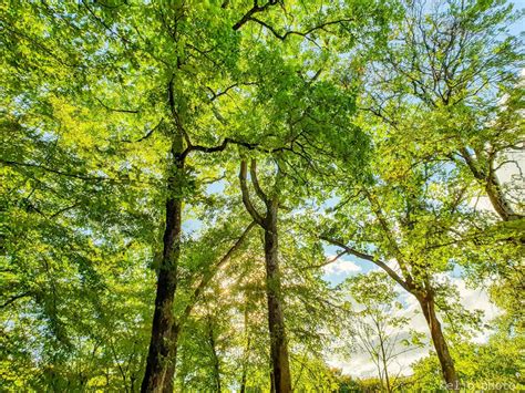 Le Potager Triangle Douarnenez Bzh Site Officiel De La Ville De