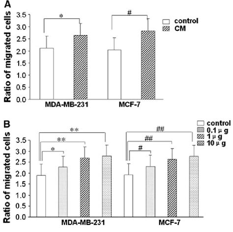 Assessment Of The Migration Of Mda Mb 231 And Mcf 7 Cells A Compared