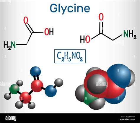 Glycine Gly Or G Is The Amino Acid Structural Chemical Formula And