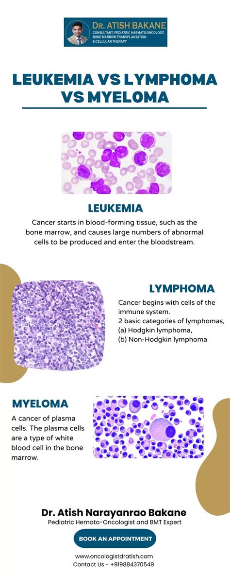 Ppt Leukemia Vs Lymphoma Vs Myeloma Powerpoint Presentation Free Download Id 11566743