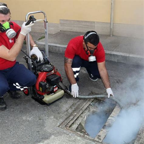 Disinfestazioni Roma Chiama Zucchet Aldo 064460612