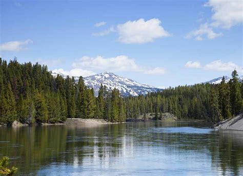 Jedediah Smith Wilderness - The Lodge Bronze Buffalo Ranch