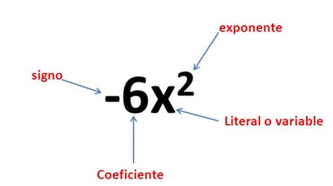 ¿cómo Se Clasifican Los Polinomios Tipos De Polinomios