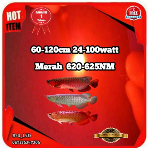 Jual Lampu Tanning Arwana Hpl Merah Nm Watt Cm