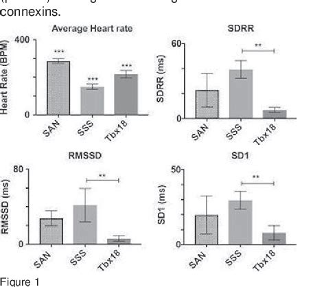 Figure From A Heart Enriched Antisense Long Non Coding Rna Regulates