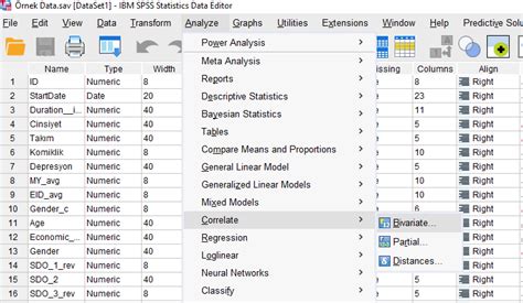 SPSS Ile Spearman Korelasyon Analizi Resimli SPSS YARDIMI