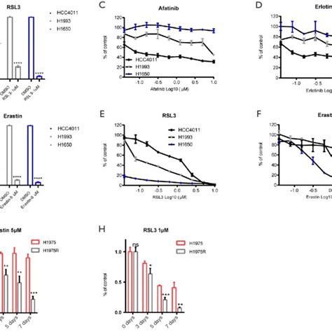 EGFR-TKI intrinsic drug-resistant EGFR activating mutant lung cancer ...