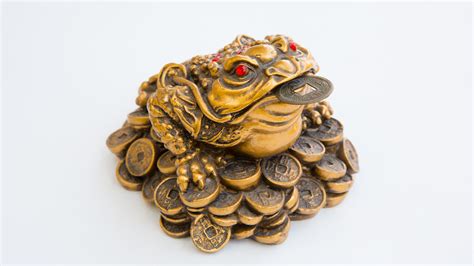 Why Should You Keep A Lucky Frog In Your Home According To Feng Shui