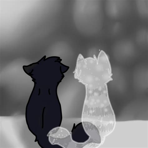 Crowfeather X Feathertail By Prince Joey On Deviantart