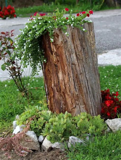 How to Make a Tree Stump Planter (Lots of Creative Ideas) - Gingham Gardens