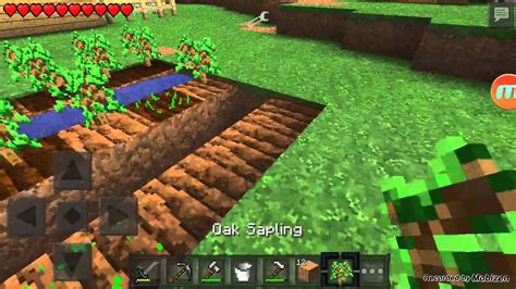 Minecraft Tarla Yaptım Youtube