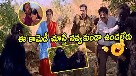 Mrugaraju Movie Forest Non Stop Hilarious Comedy Scenes Chiranjeevi