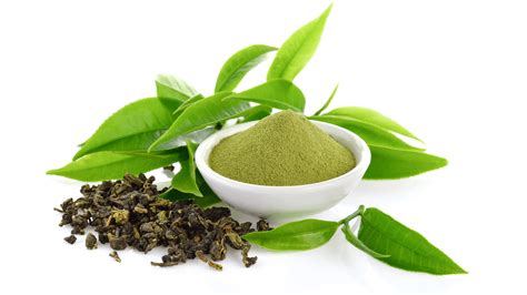 Qué beneficios tiene el té verde Sabor a Té Blog Oficial