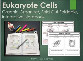 Eukaryote Cells Graphic Organizer Fold Out Foldable Interactive