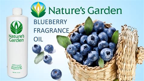 Blueberry Fragrance Oil Natures Garden Youtube