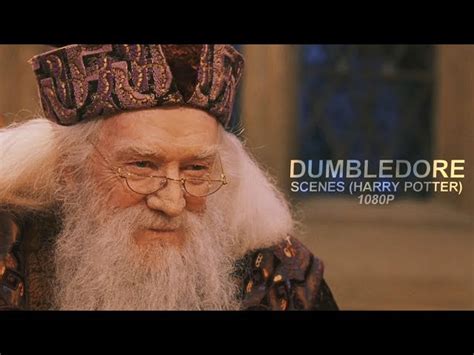 Harry Potter First Dumbledore