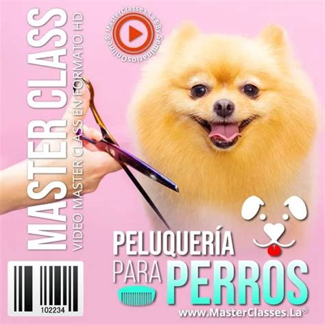 Peluquería para perros todo lo que necesitas saber