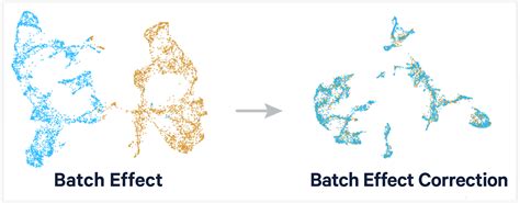 Batch Effect Correction In X Genomics Single Cell Sequencing