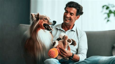 Choosing The Right Toy For Your Dogs Breed