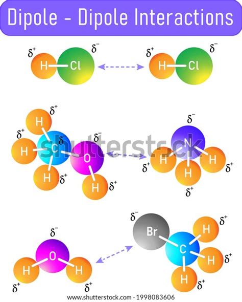 2 037 Dipole Dipole Images Stock Photos Vectors Shutterstock