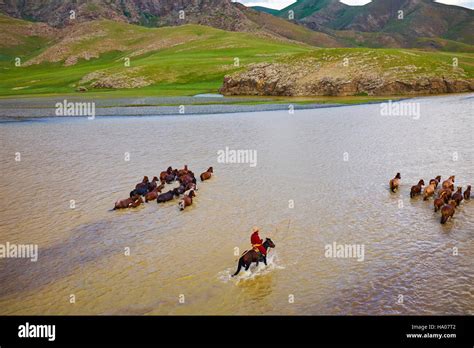 Mongolia, Ovorkhangai province, Orkhon valley, Orkhon river, Nomad camp, Mongolian horserider ...