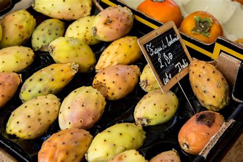 Figue De Barbarie Bienfaits Et Recettes Avec Le Nopal