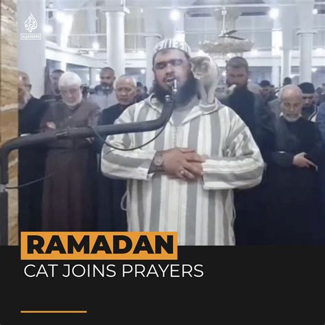 Al Jazeera English On Twitter A Cat Jumped On An Imam As He Recited A Ramadan Prayer During A