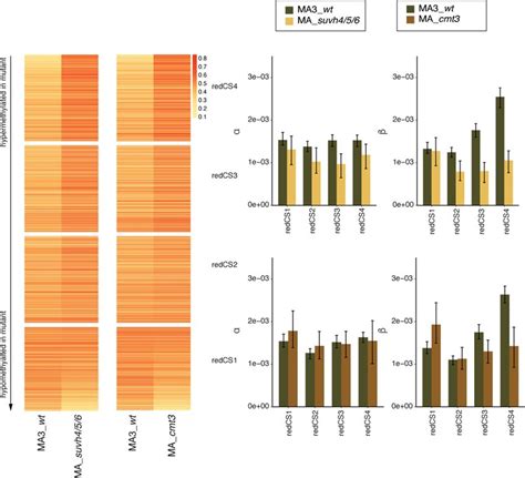 Epimutation Rates In Hypo And Hyper Methylated Redcs Spmrs Heatmaps