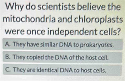 Solved Why Do Scientists Believe The Mitochondria And Chloroplasts