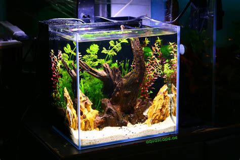 Cube Ready Aquascape Set Aquascape