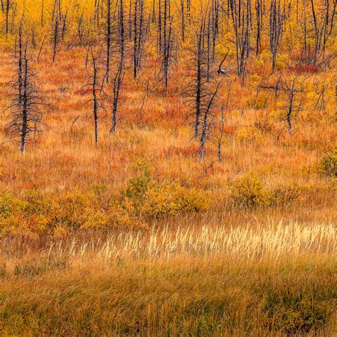 Montana - Benoit De Boeck - Landscape photography