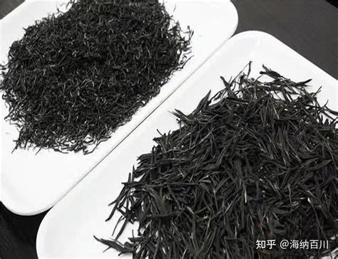 紫茶大家族中的3姐妹紫娟紫芽紫嫣都属紫茶却各有不同 知乎