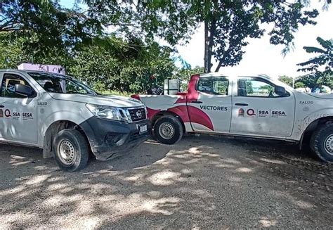 Aplican Operativo De Termonebulizaci N Contra El Mosco En Carrillo Puerto