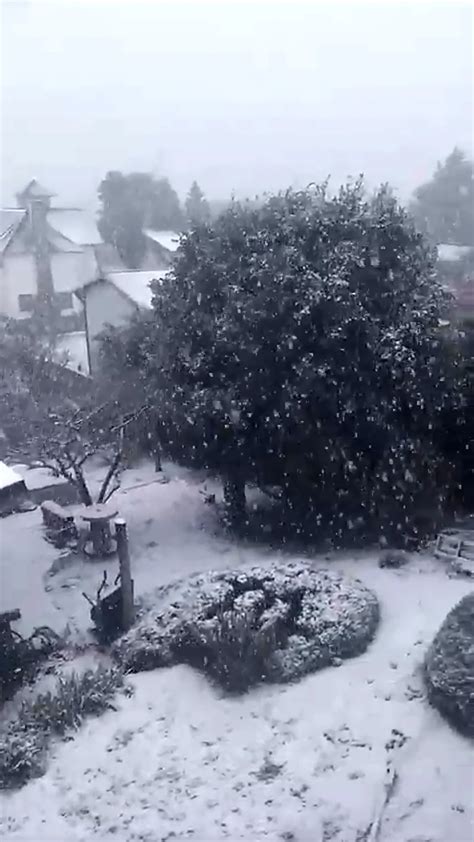 Temporal De Nieve Bariloche Suspendió Las Clases Y Unos 3000 Camiones Quedaron Varados En